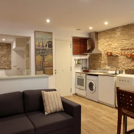 Old Side One Apartment